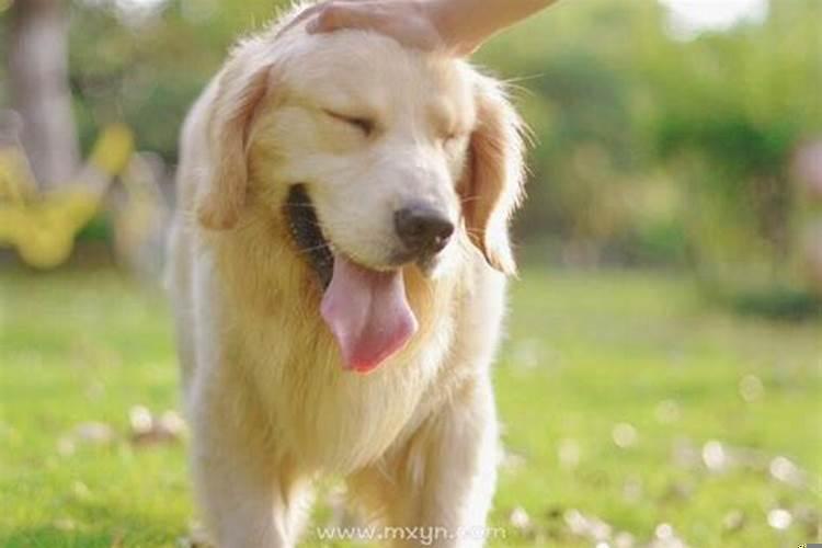 梦见自己生了个非常可爱的儿子