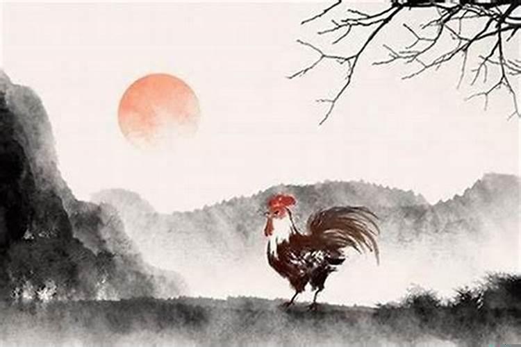 1981年的鸡41岁后半生命运如何