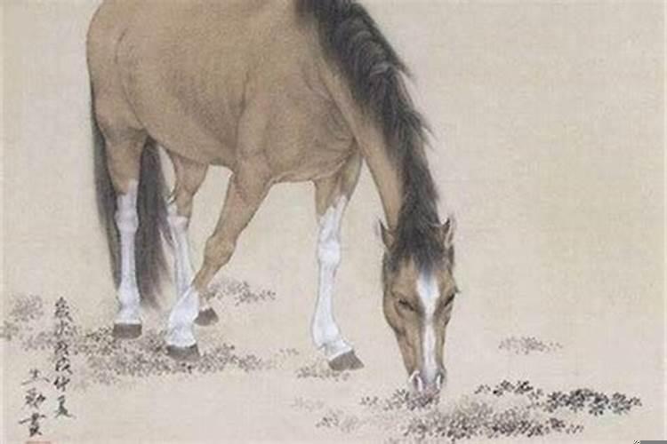 属马的贵人是什么属相每