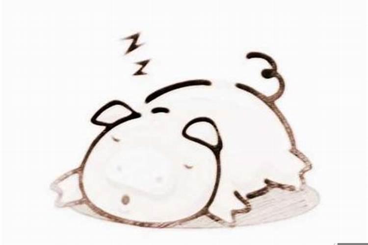 1971属狗的婚配生肖