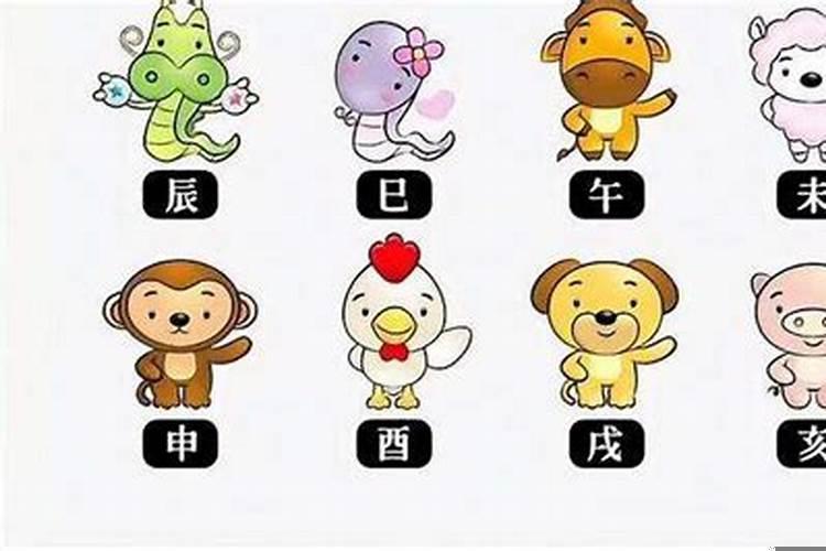 十二生肖最佳婚配口诀