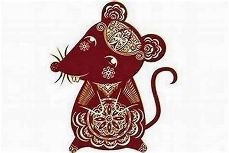 属鼠的女人佩戴什么要旺财