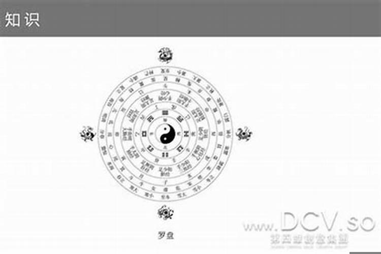 同属相生日不超过一百天有什么说法