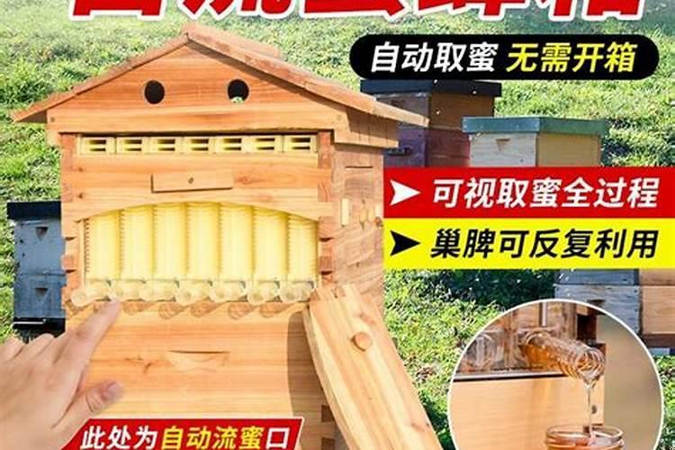 养蜂用什么箱子好