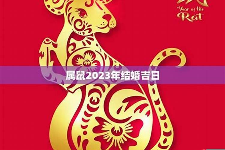 2025结婚的良辰吉日猪和鼠