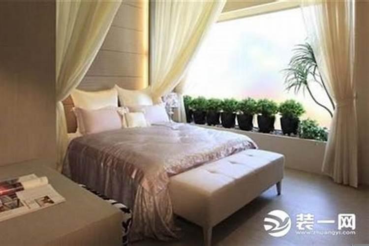 女生卧室放什么花最好