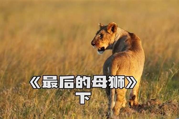 狮子座为什么花心