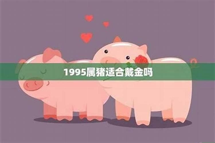 属猪佩戴什么吉祥物旺财呢