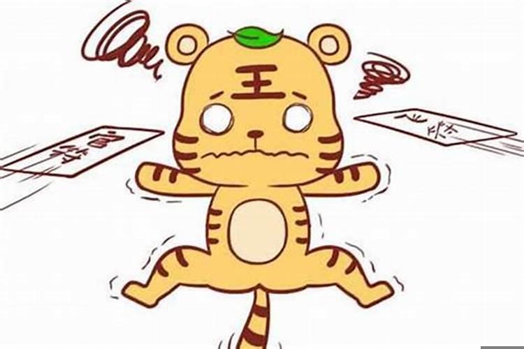 属虎女什么属相最不相配