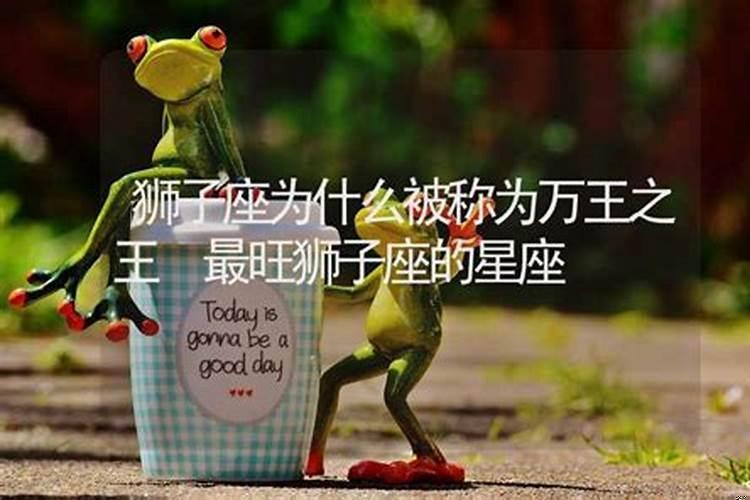 狮子座为什么花心