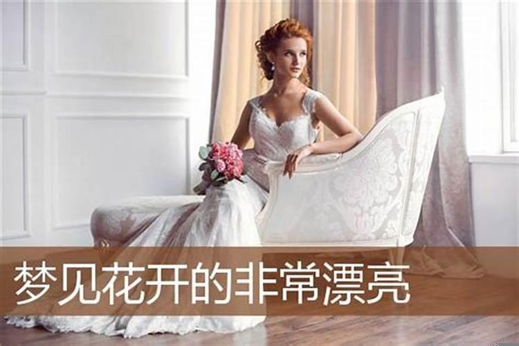 梦见好多花开得好漂亮是什么预兆呢