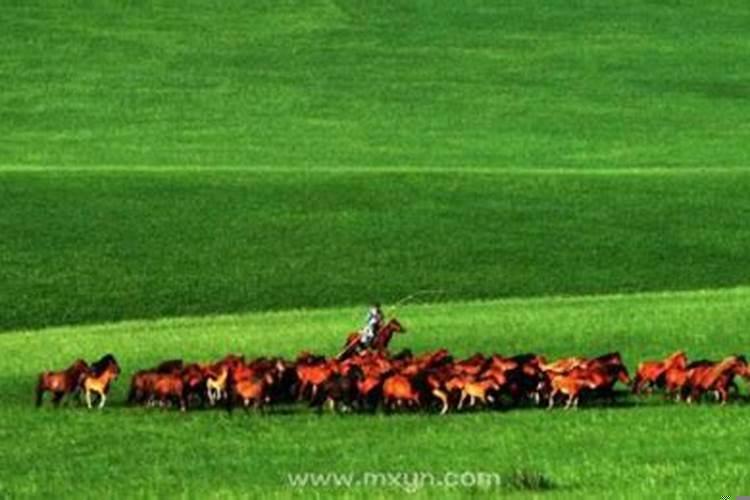 梦见了小孩子是怎么回事