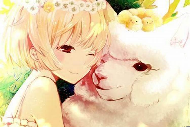 居家好男人的星座