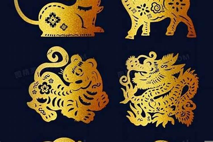 十二生肖是天干还是地支