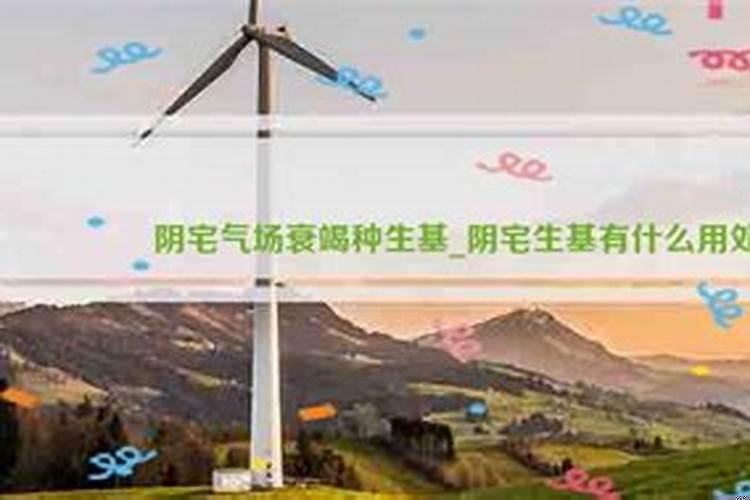 太岁起什么作用