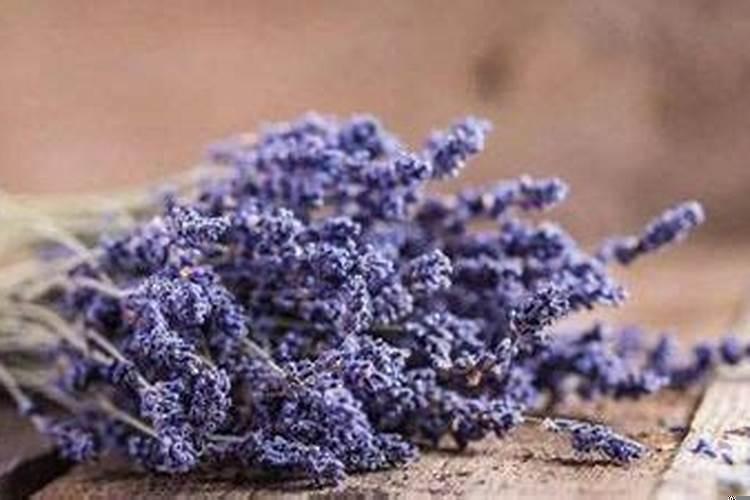 2020年几月建房子最好