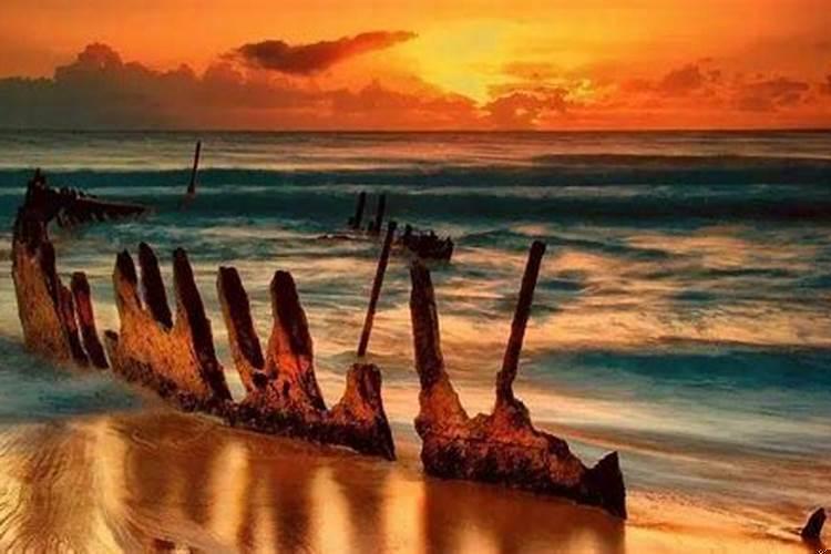 狮子座为什么花心