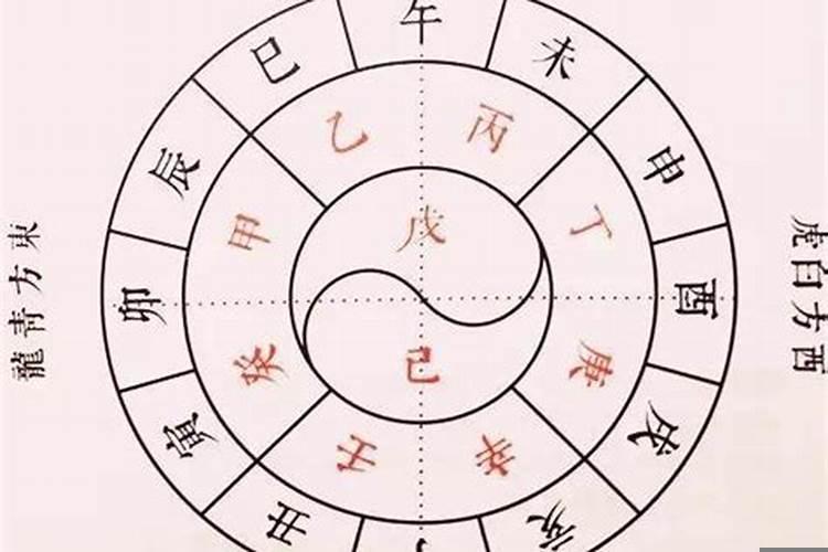 十二生肖是天干还是地支