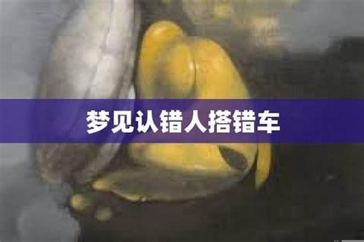 女人梦见搭错车预示着什么