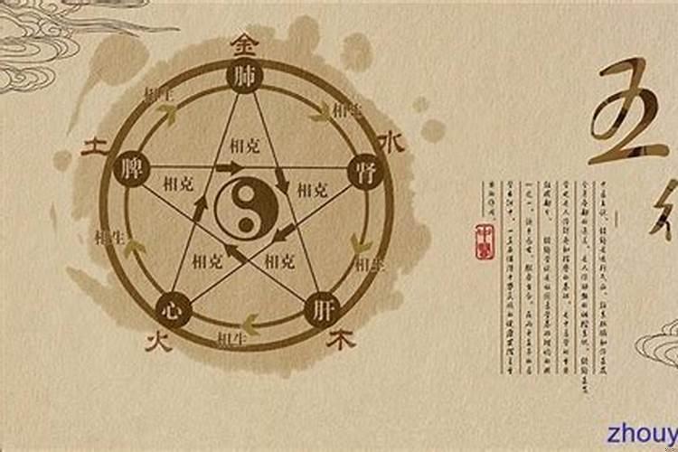 什么命的人比较容易学命理