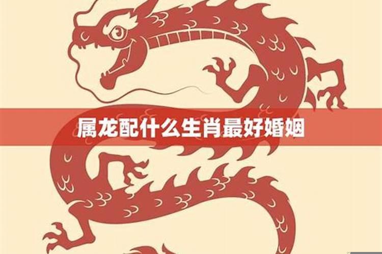 婚姻适合和相合的区别在哪