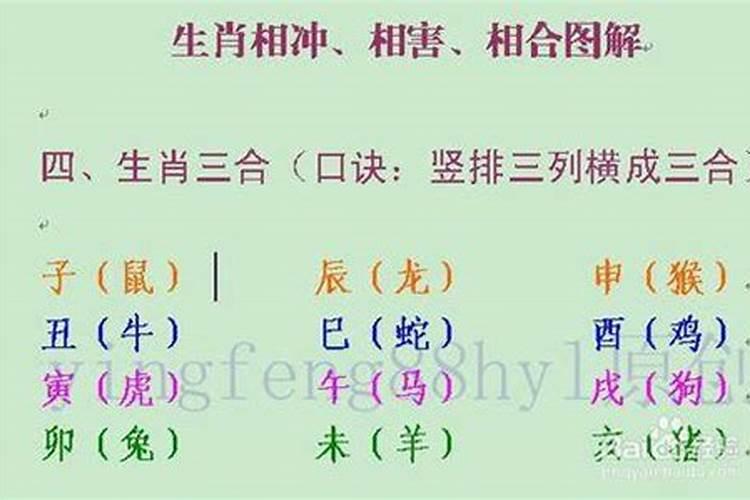 什么属相是上上等婚配