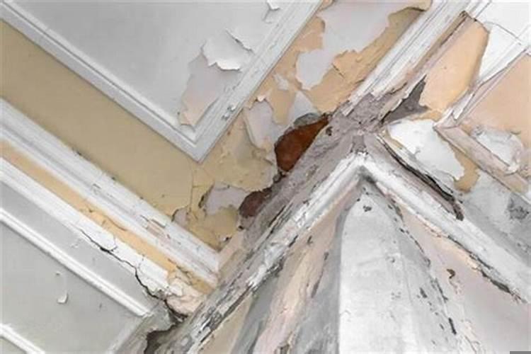 做梦房子着火了预示什么