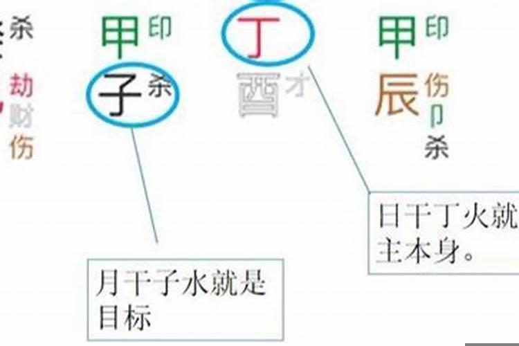 命理学里有多少种命