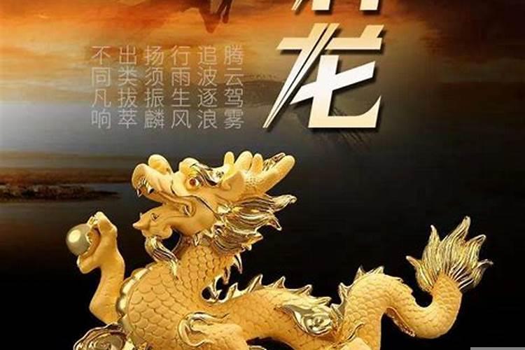 2022年属龙的财运
