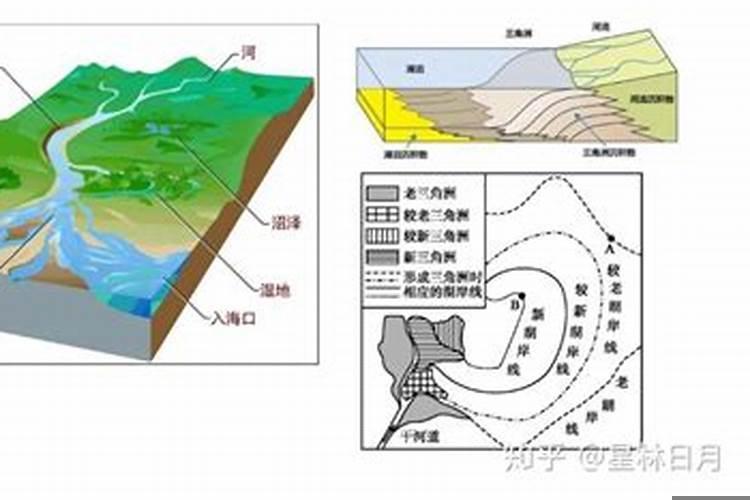 庭院种树的风水