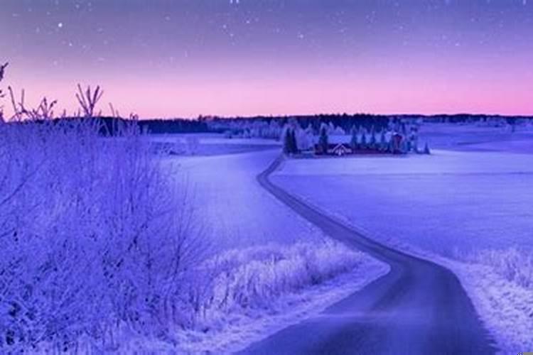 居家好男人的星座