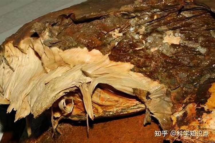 太岁起什么作用