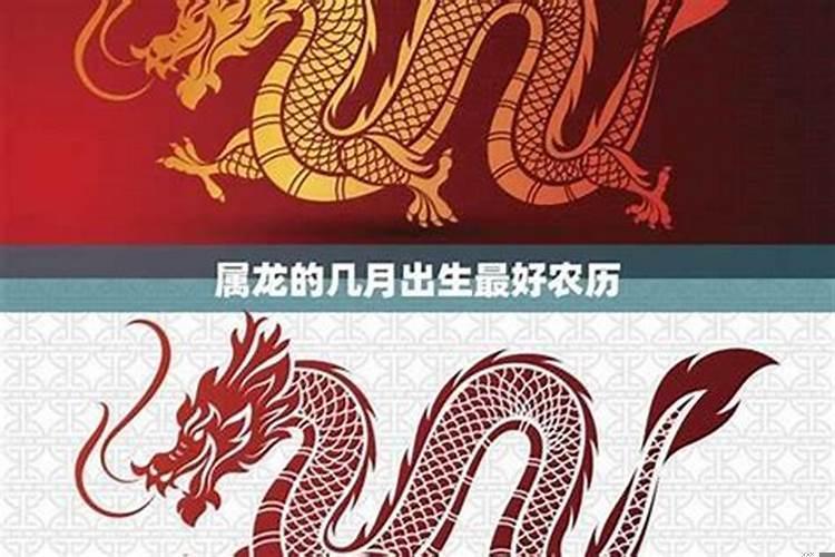 属蛇跟属龙的合不合财