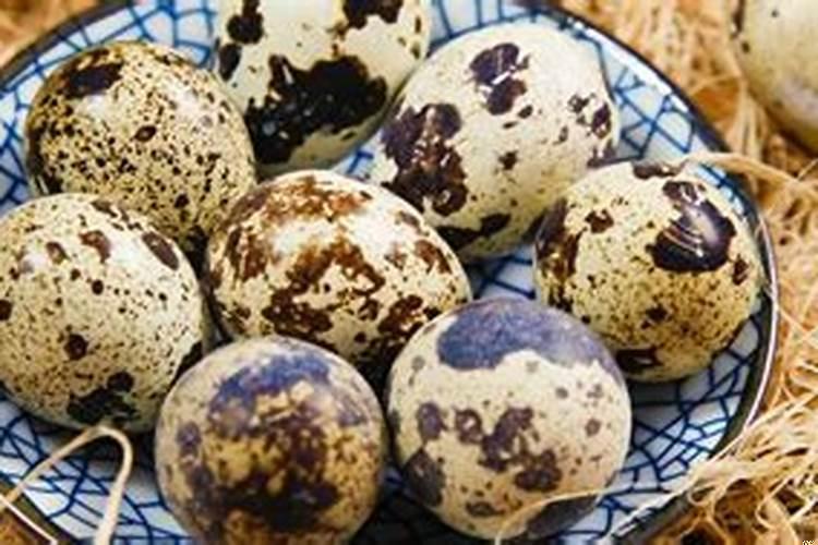 梦见好多鸟蛋捡鸟蛋