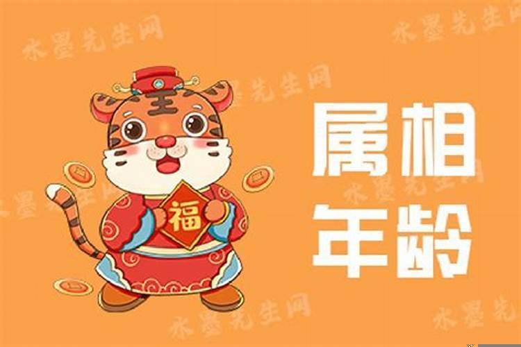 属虎属兔属马今年多大