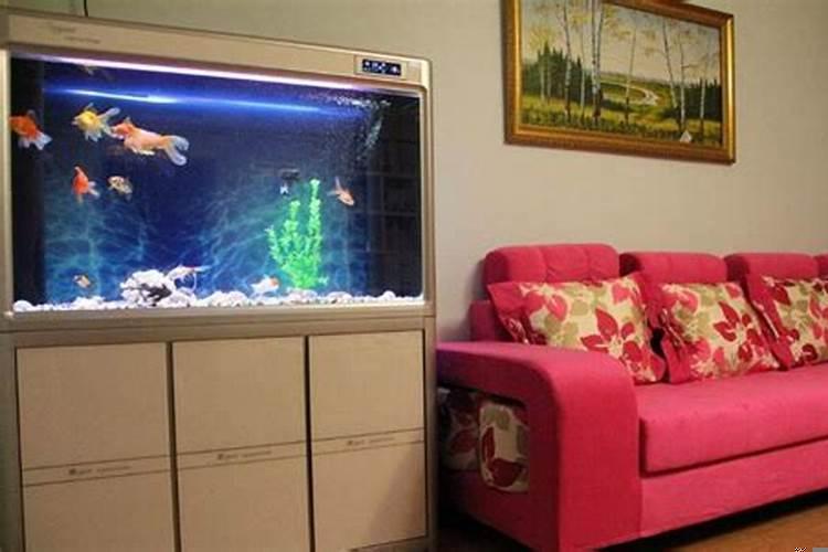 客厅放什么样的鱼缸好