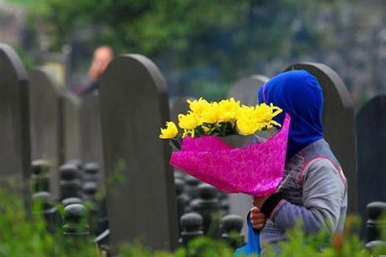 坟地里出现蛇，好吗