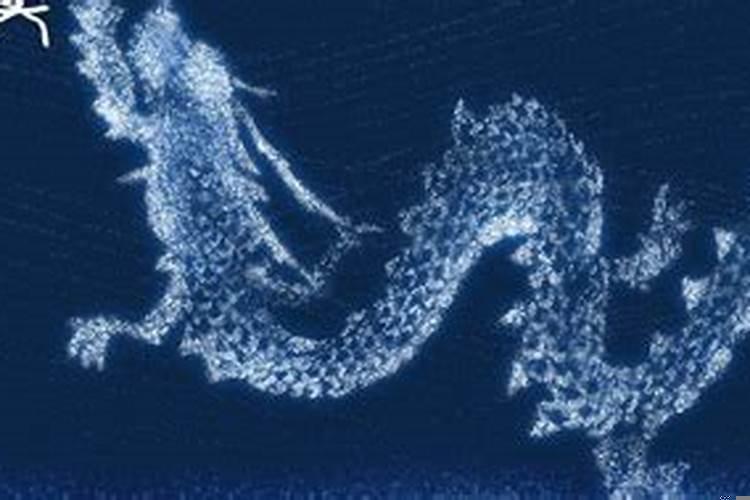 属蛇跟属龙的合不合财