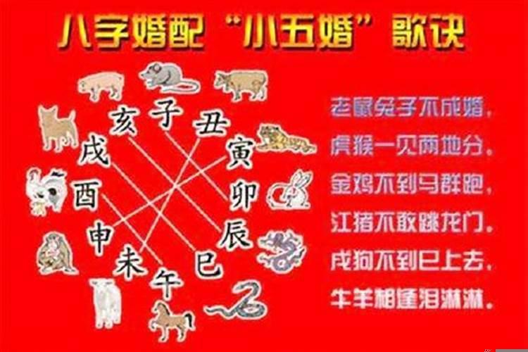 男属虎和女龙相配婚姻如何