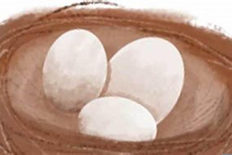 梦见好多鸟蛋捡鸟蛋