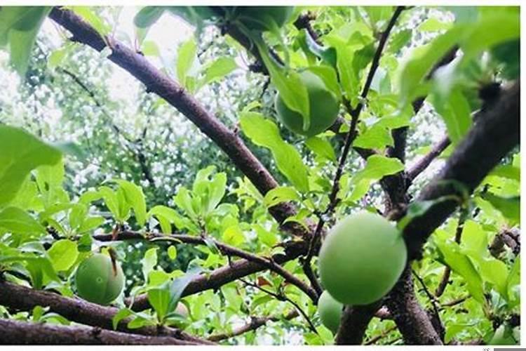 1974年10月27日出生的人