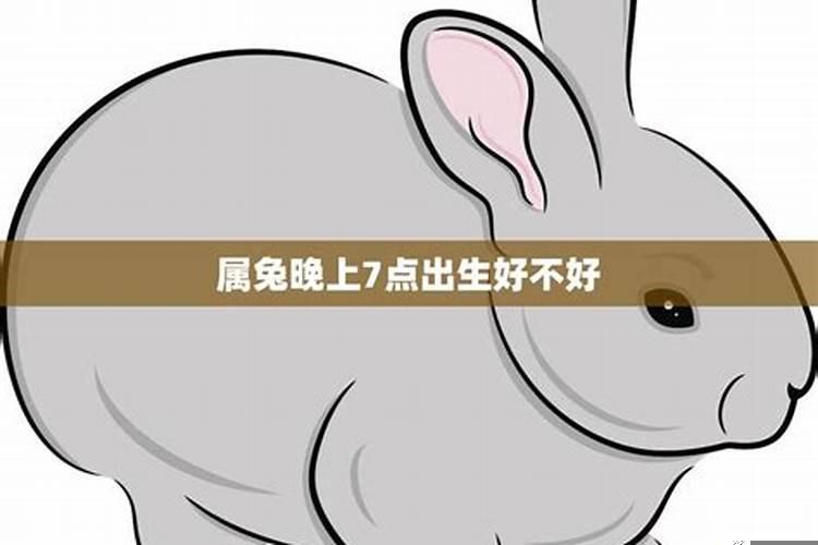生肖属兔的几月份出生最命好