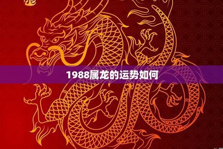 1988年出生属龙的财运