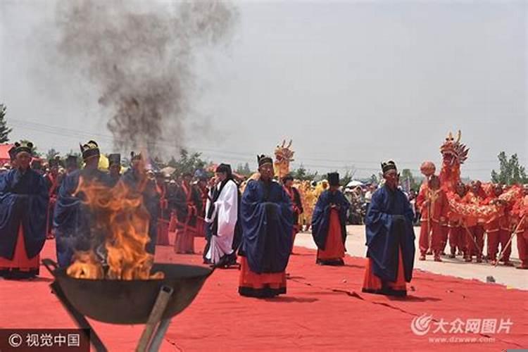 家里有孩子考试应该养什么花