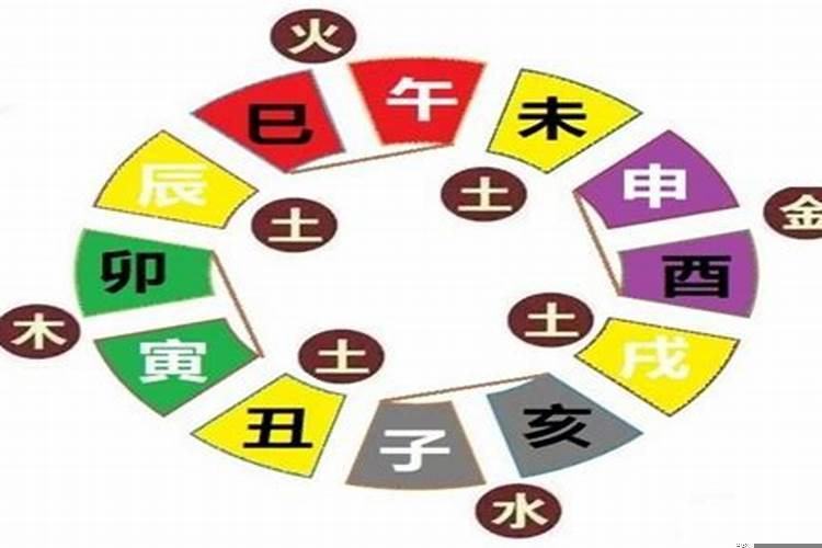 干天地支五行是什么
