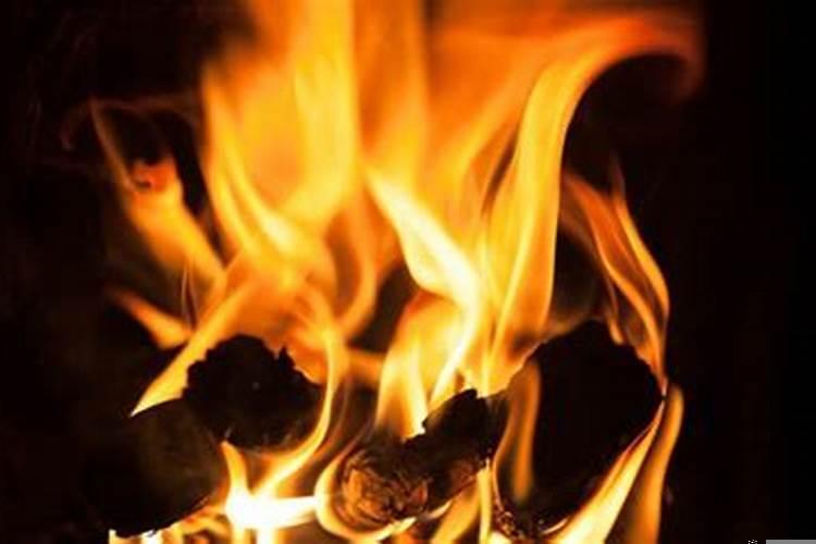 梦见二条大蟒蛇是什么征兆