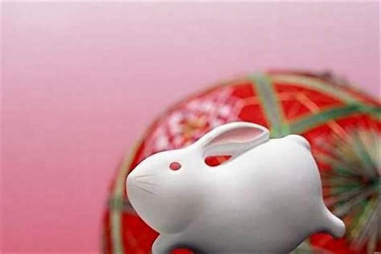 属兔的那个月生比较好