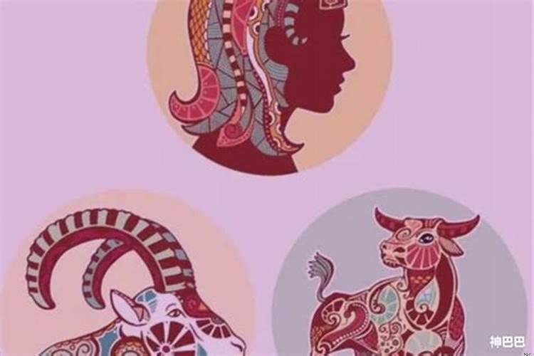 摩羯座代表的是什么生肖?