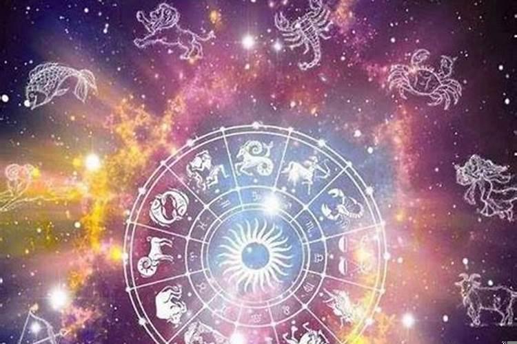 摩羯座代表的是什么生肖?