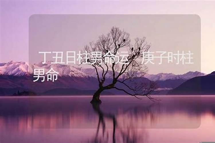 时柱丁丑命运